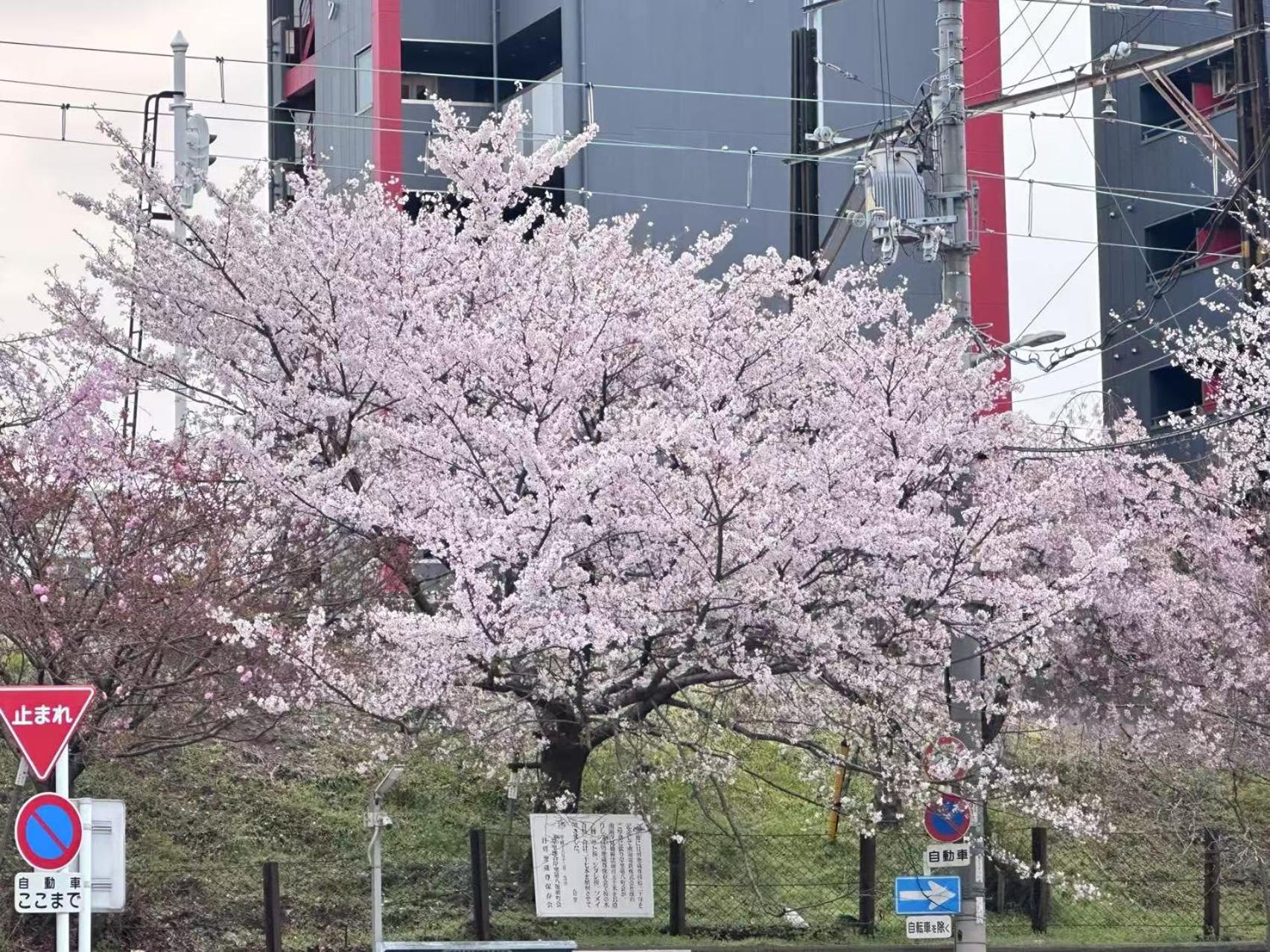 Apartamento -旅タイム・岸里夏也 - 岸里玉出駅 大型車駐車場あり
